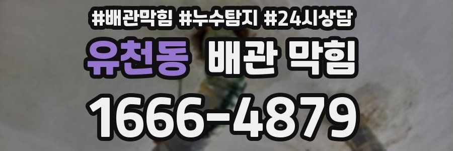 유천동 배관 막힘