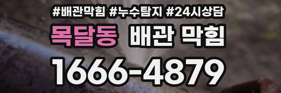 목달동 배관 막힘