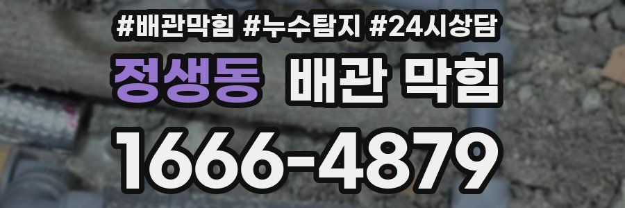 정생동 배관 막힘