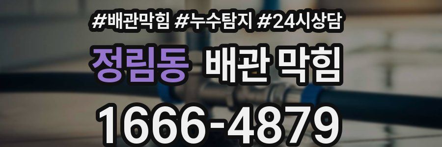정림동 배관 막힘