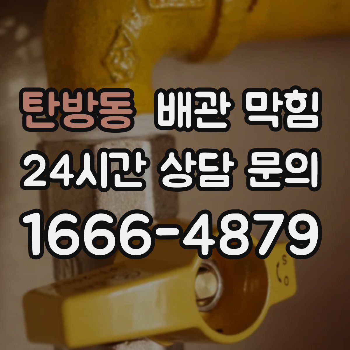 탄방동 배관 막힘