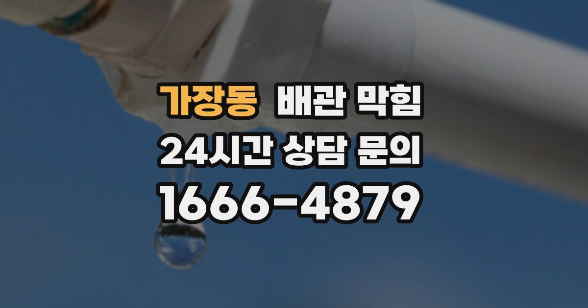 가장동 배관 막힘