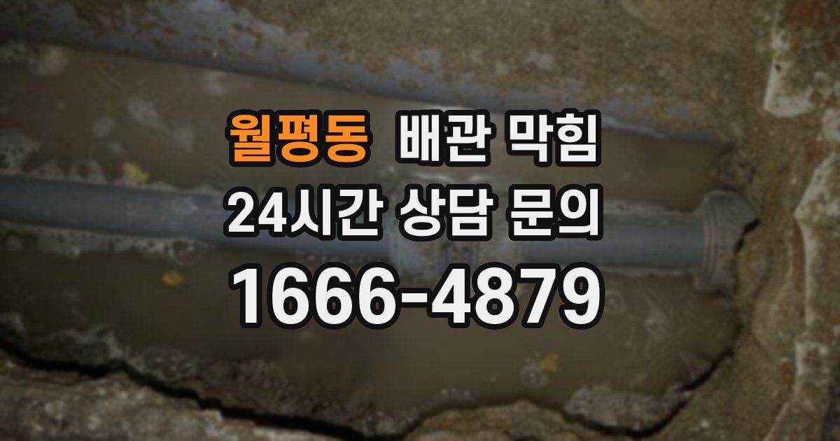 월평동 배관 막힘