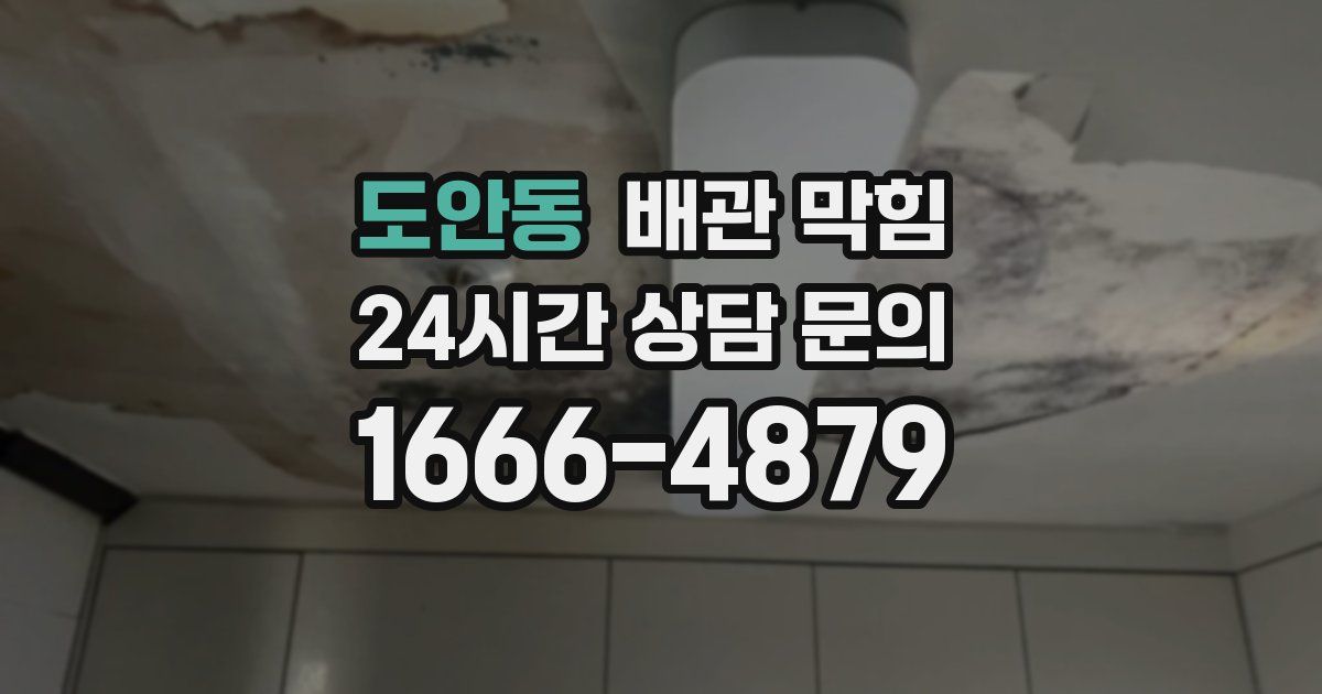 도안동 배관 막힘