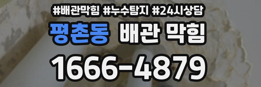 평촌동 배관 막힘
