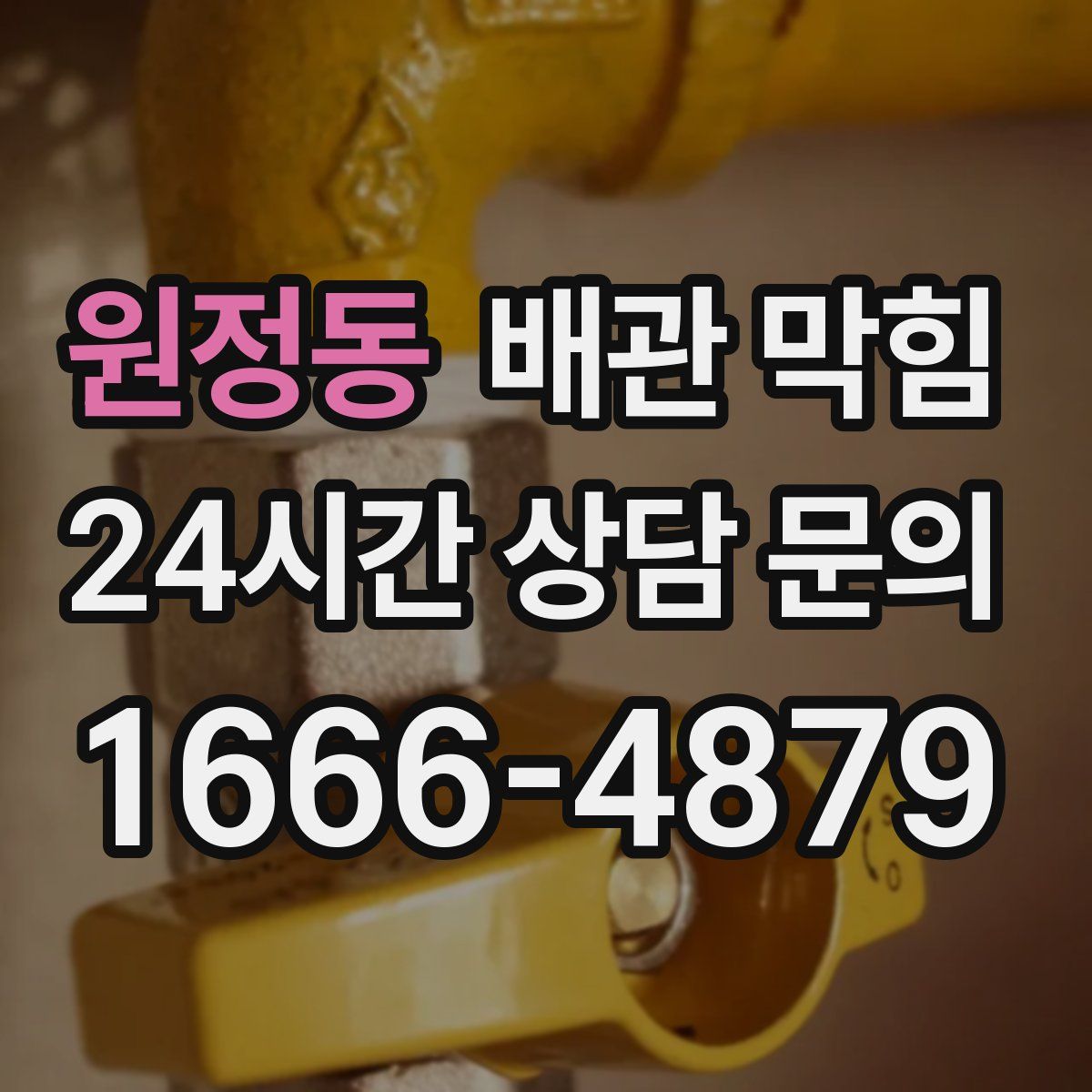 원정동 배관 막힘