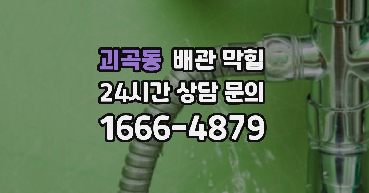 괴곡동 배관 막힘