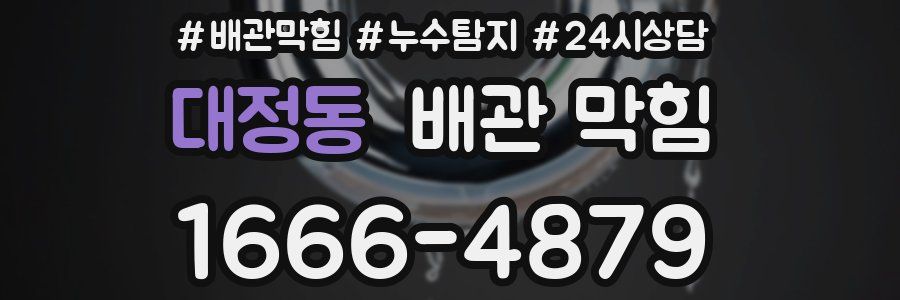 대정동 배관 막힘