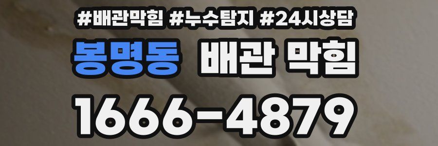 봉명동 배관 막힘