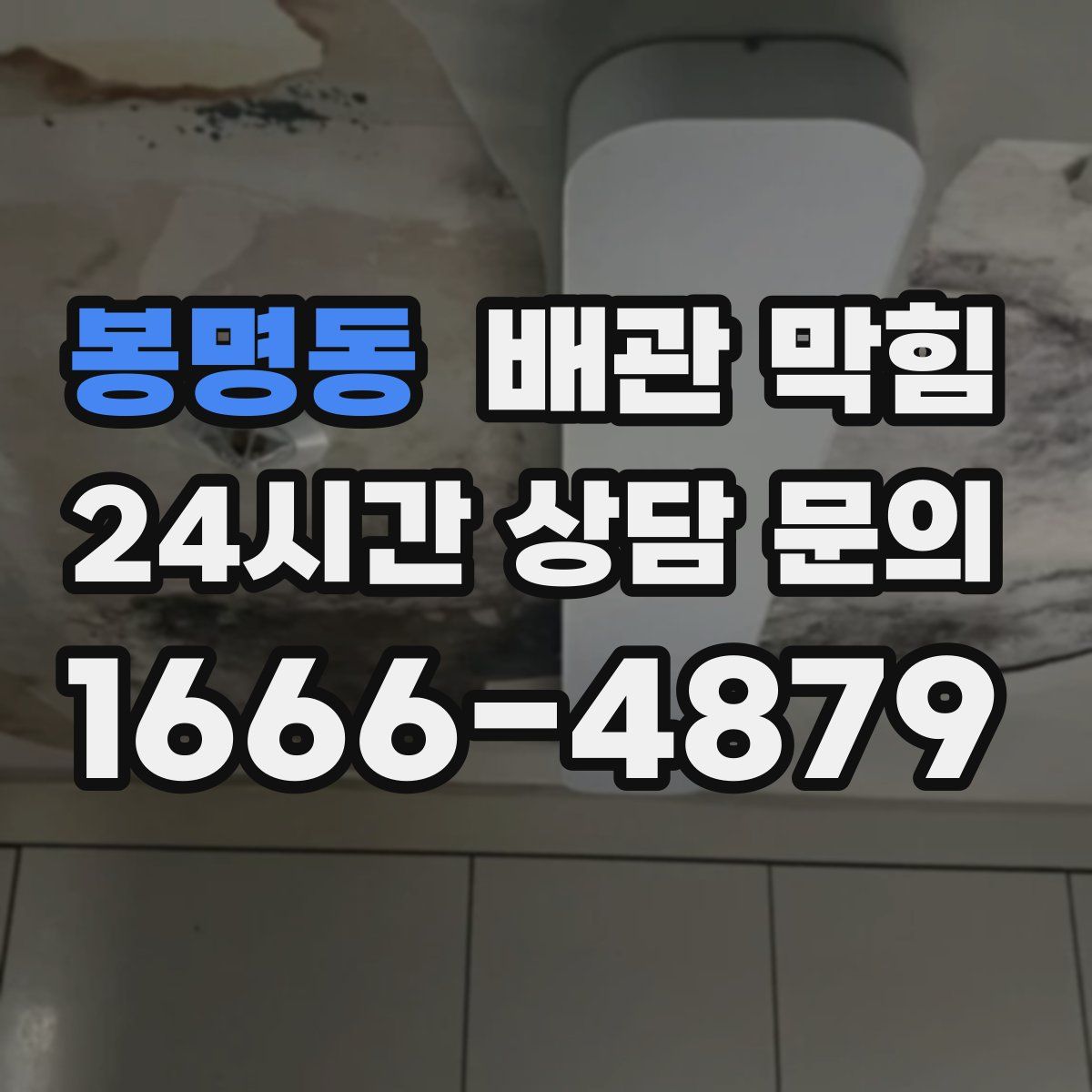 봉명동 배관 막힘