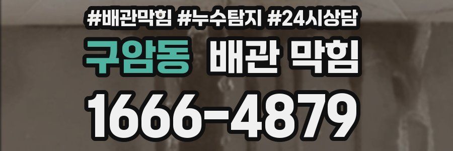 구암동 배관 막힘