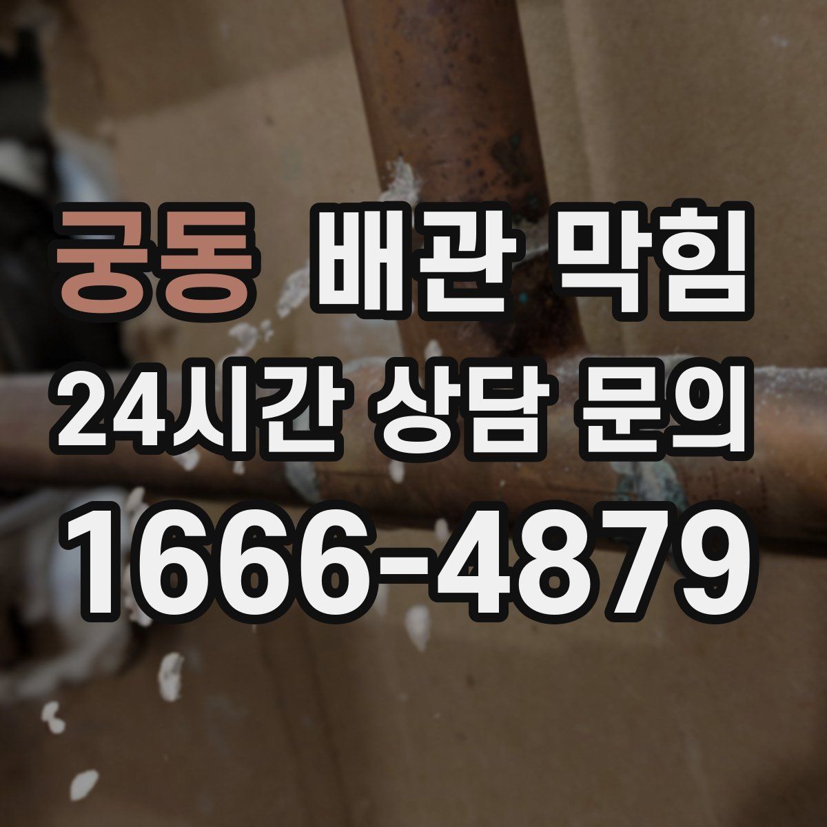 궁동 배관 막힘