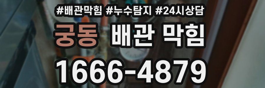 궁동 배관 막힘