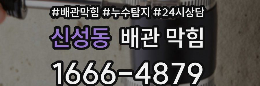 신성동 배관 막힘