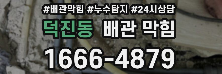 덕진동 배관 막힘