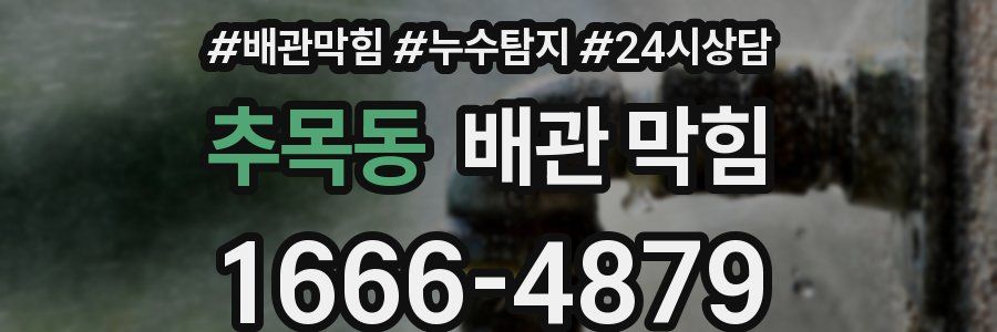추목동 배관 막힘
