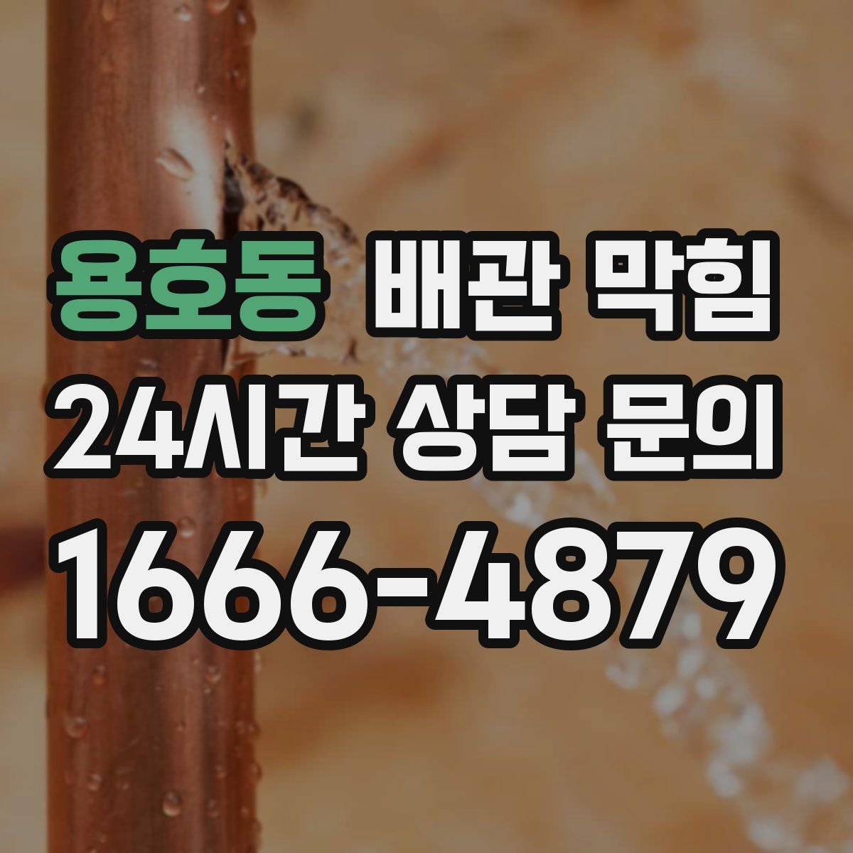 용호동 배관 막힘