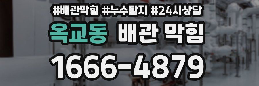 옥교동 배관 막힘