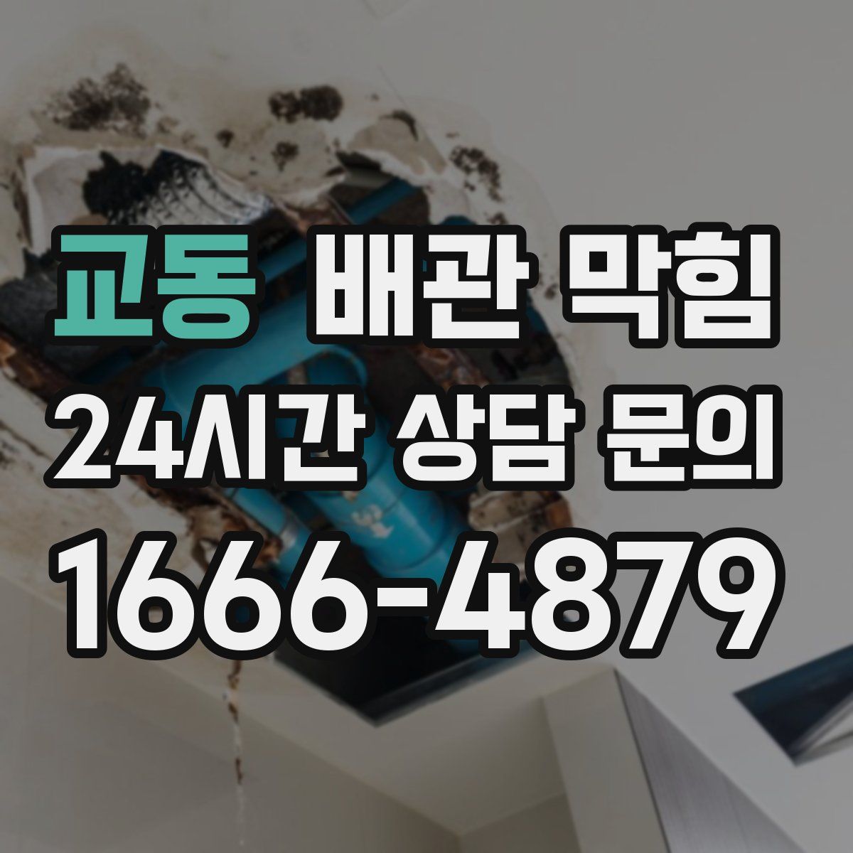 교동 배관 막힘