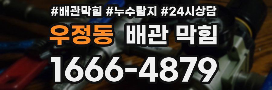 우정동 배관 막힘