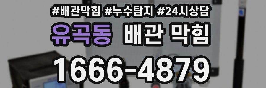 유곡동 배관 막힘