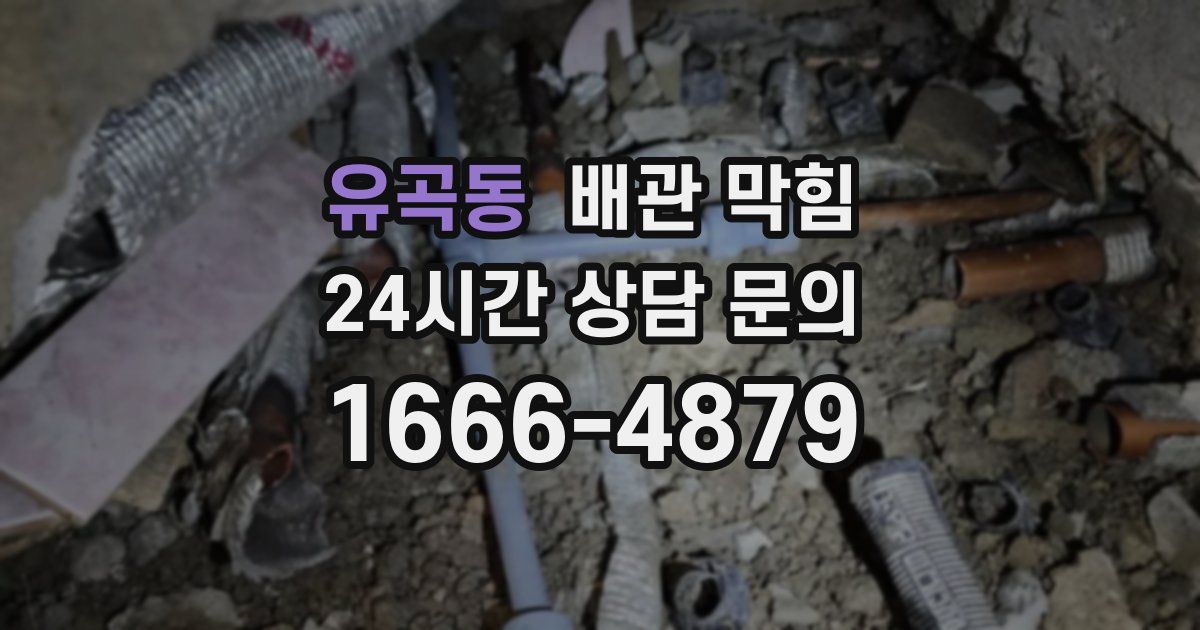 유곡동 배관 막힘