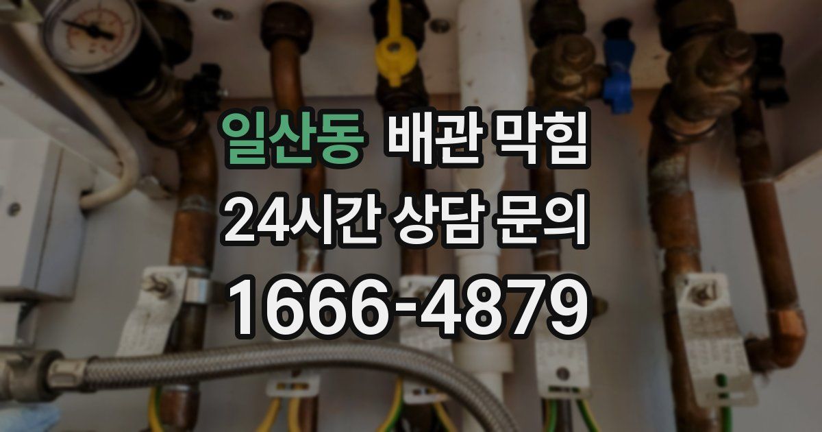 일산동 배관 막힘