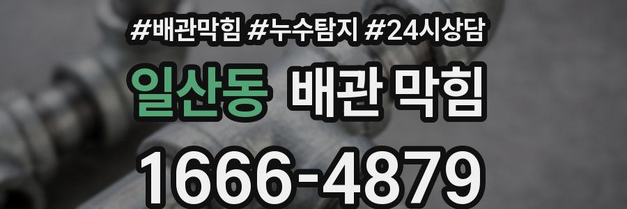 일산동 배관 막힘