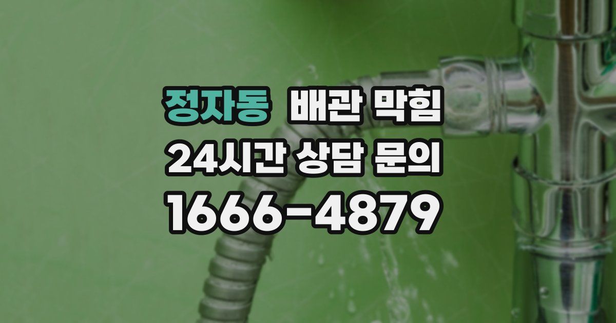 정자동 배관 막힘