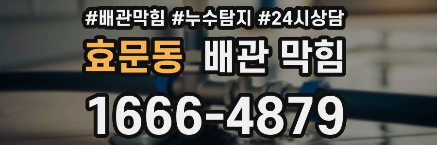 효문동 배관 막힘