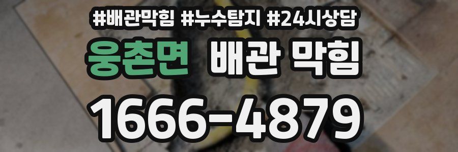 웅촌면 배관 막힘