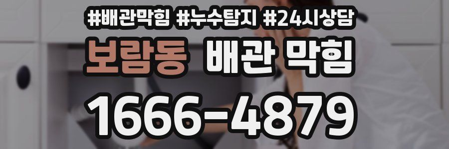 보람동 배관 막힘