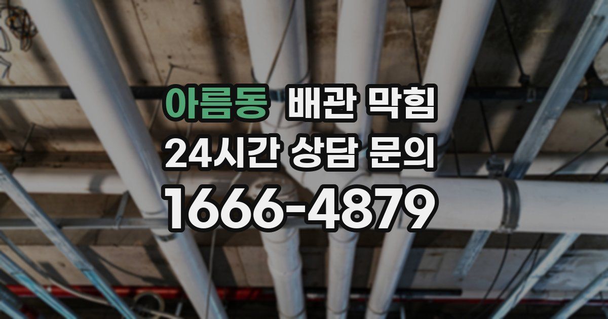 아름동 배관 막힘