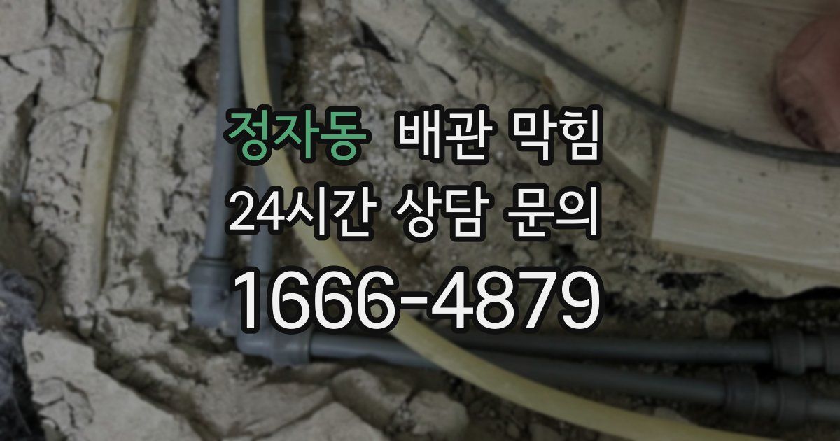 정자동 배관 막힘