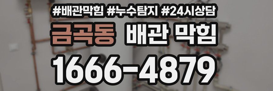 금곡동 배관 막힘