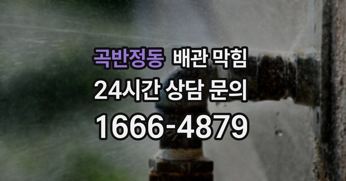 곡반정동 배관 막힘