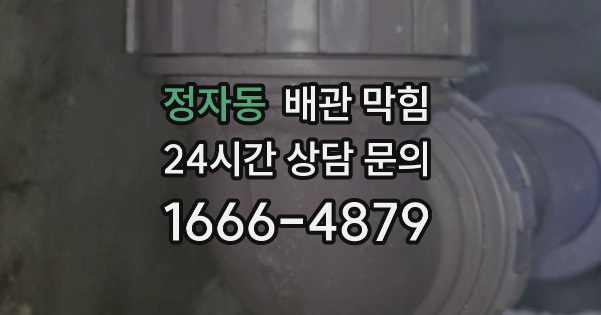 정자동 배관 막힘