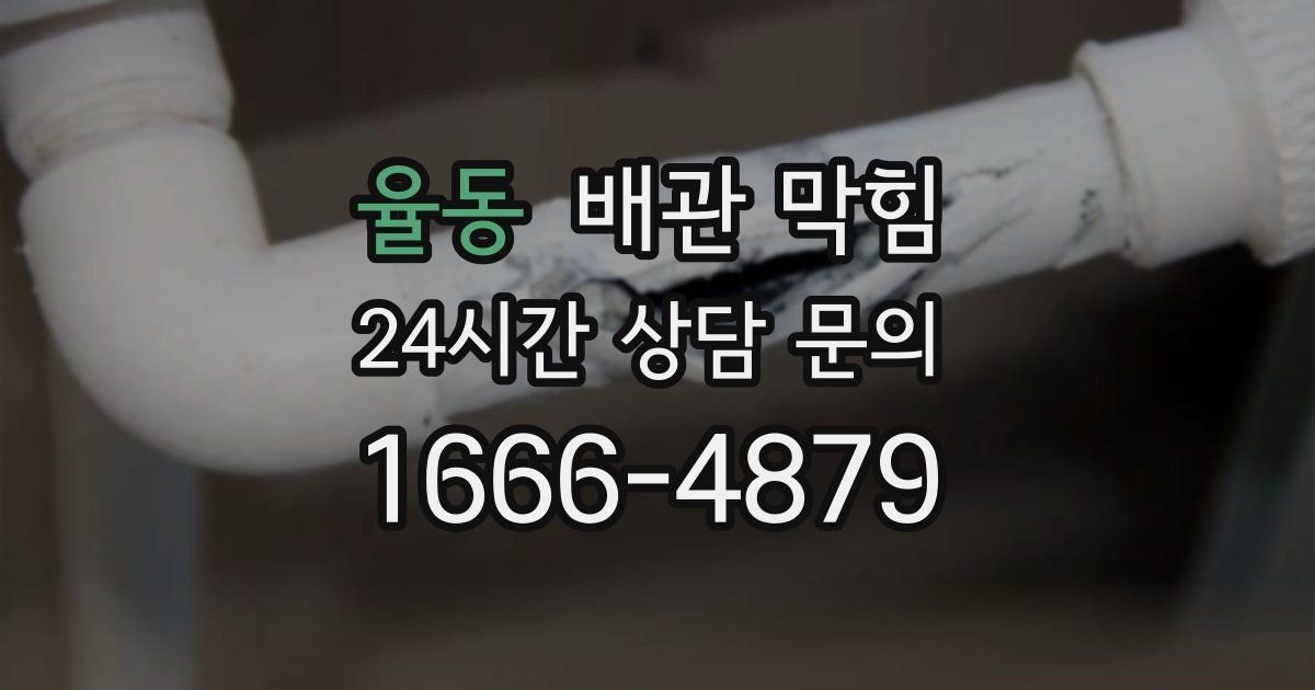 율동 배관 막힘