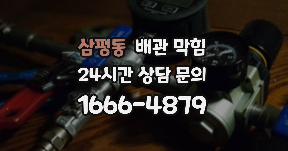 삼평동 배관 막힘