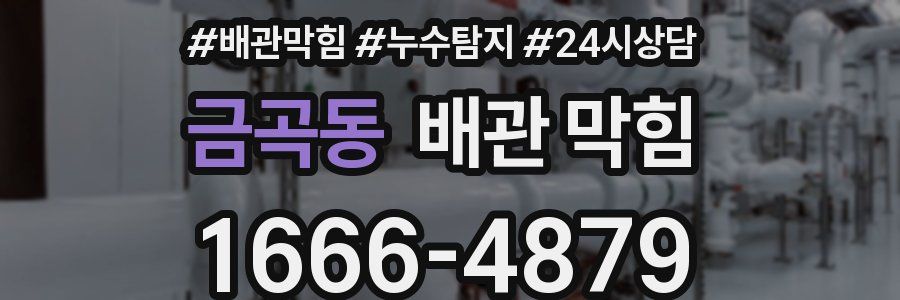 금곡동 배관 막힘