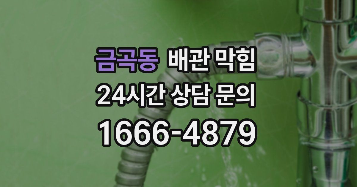 금곡동 배관 막힘