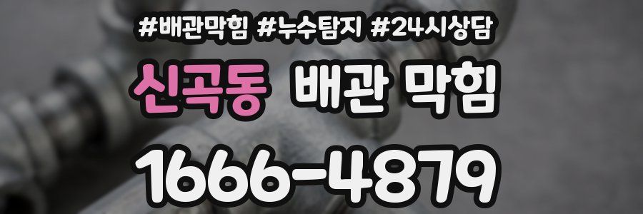신곡동 배관 막힘