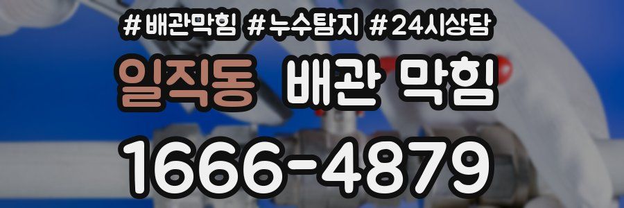 일직동 배관 막힘