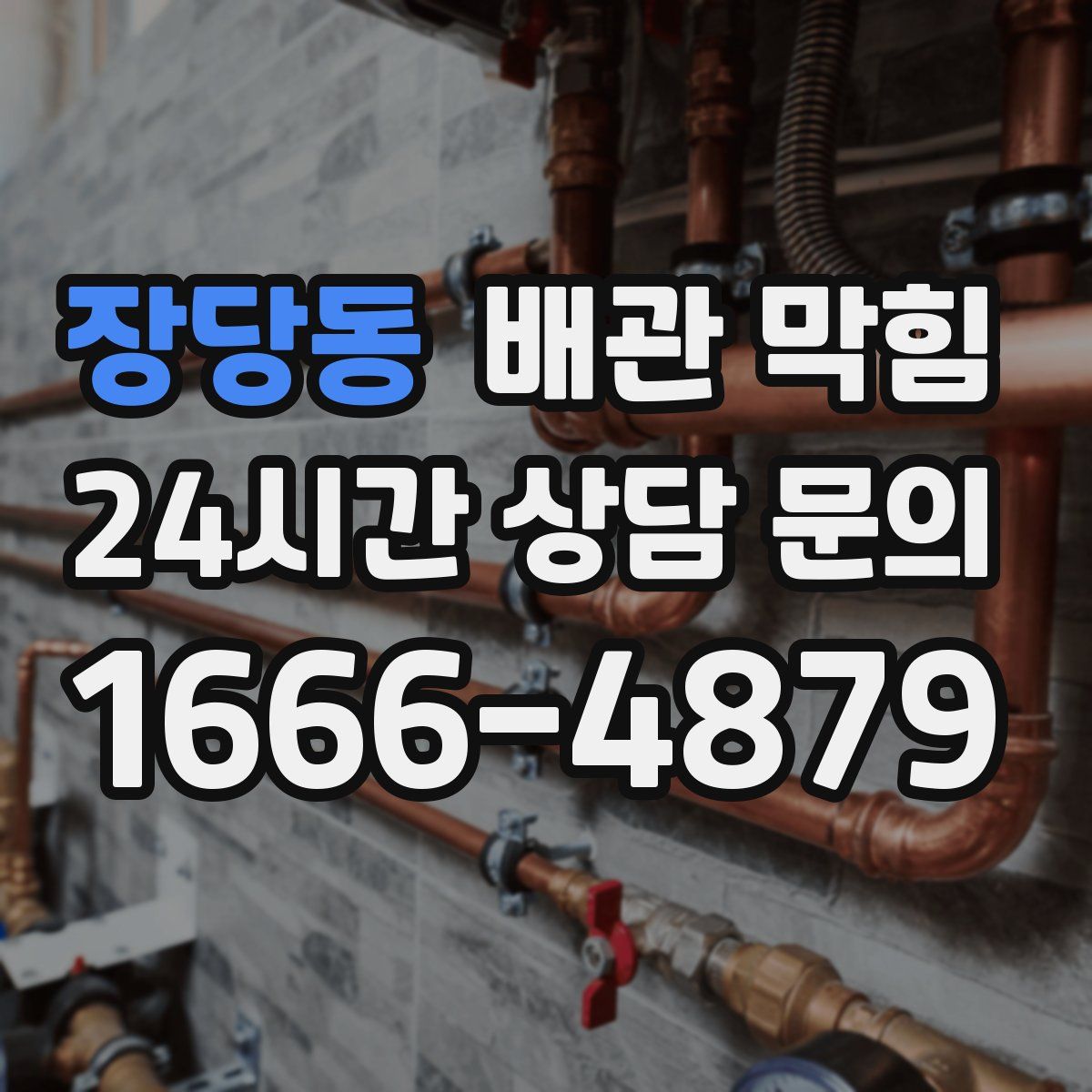 장당동 배관 막힘