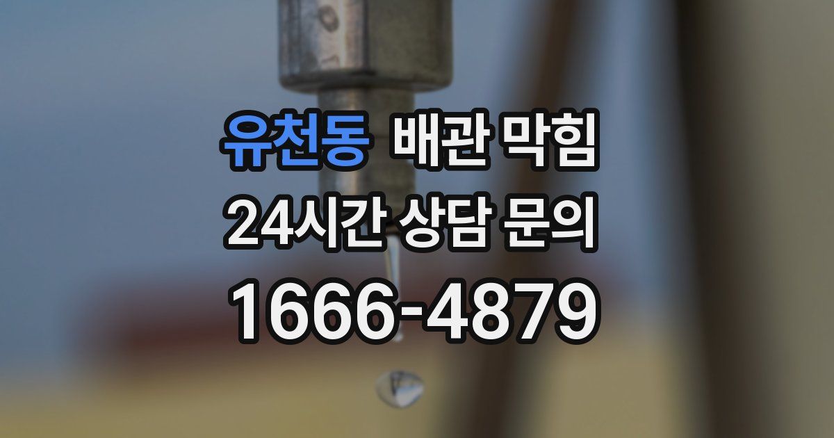 유천동 배관 막힘