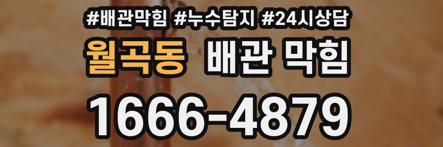 월곡동 배관 막힘