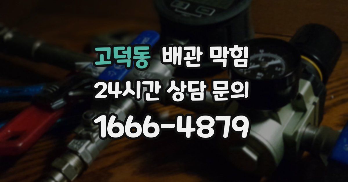 고덕동 배관 막힘