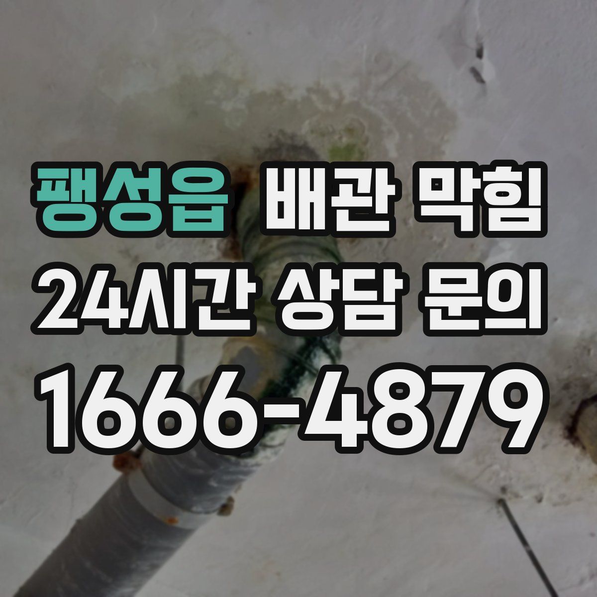 팽성읍 배관 막힘