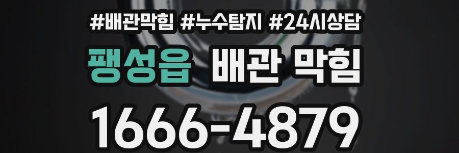 팽성읍 배관 막힘