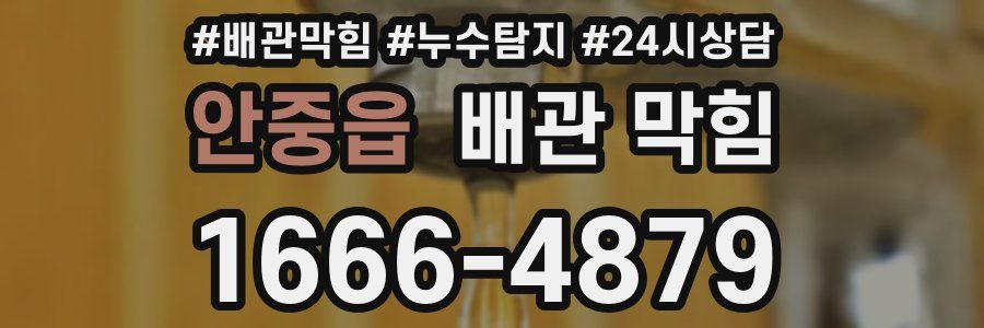 안중읍 배관 막힘
